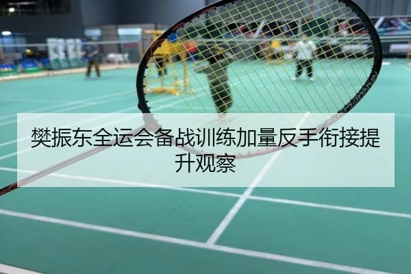 樊振东全运会备战训练加量反手衔接提升观察